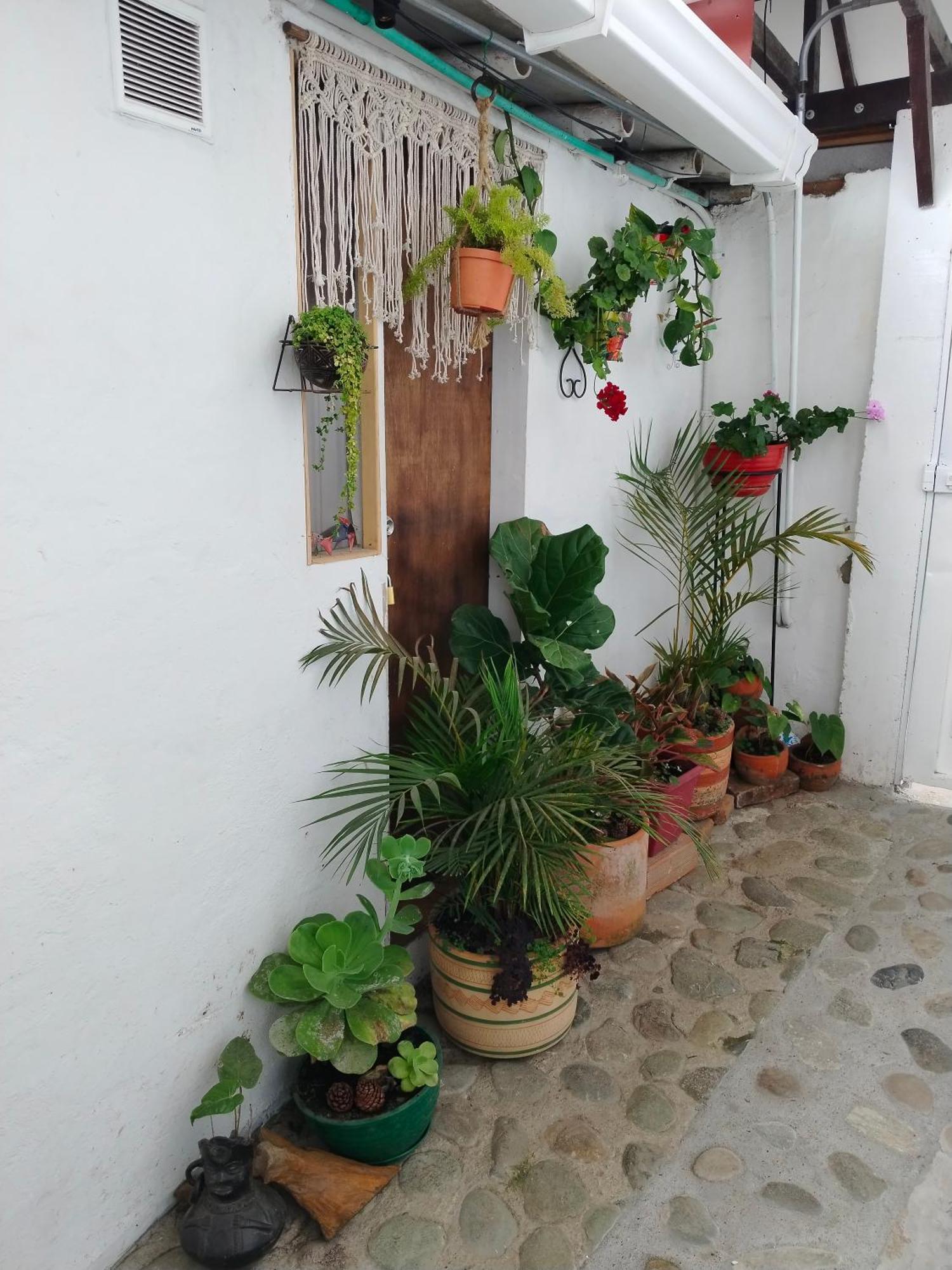 Apartaestudios La Baranda Salento Exterior photo